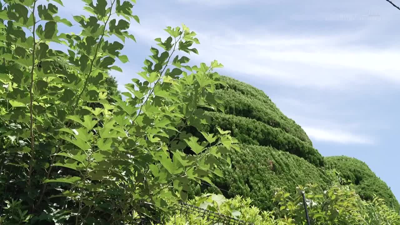 喜歡讀書的我被關在奇怪的地下室.在陌生的男人們面前自慰.也被男人的視線變成了狂亂的變態女.冬愛琴音 綾瀬陽葵 - AV大平台 - 中文字幕，成人影片，AV，國產，線上看